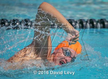 Thumbnail 1 in Chandler Invitational photogallery.