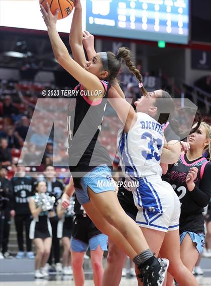 Thumbnail 1 in Canyon View vs. Richfield (UHSAA 3A Quarterfinal) photogallery.