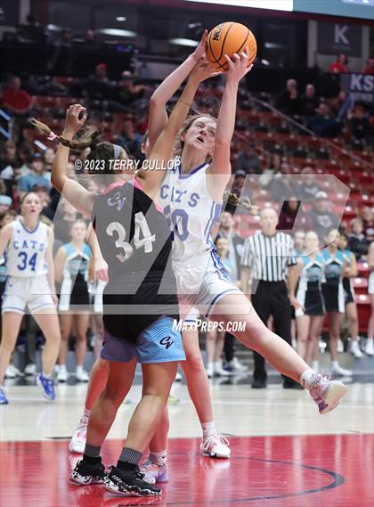 Thumbnail 1 in Canyon View vs. Richfield (UHSAA 3A Quarterfinal) photogallery.