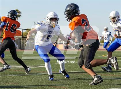 Thumbnail 3 in FR: Wood @ Pittsburg photogallery.