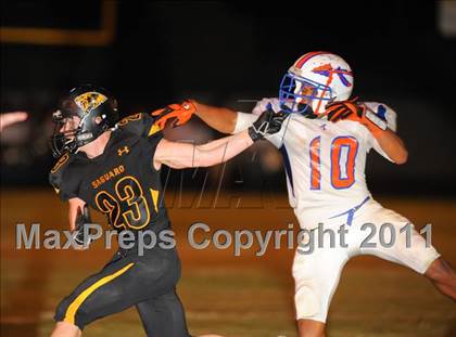 Thumbnail 3 in Thunderbird @ Saguaro photogallery.