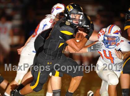 Thumbnail 3 in Thunderbird @ Saguaro photogallery.