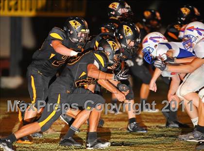 Thumbnail 3 in Thunderbird @ Saguaro photogallery.