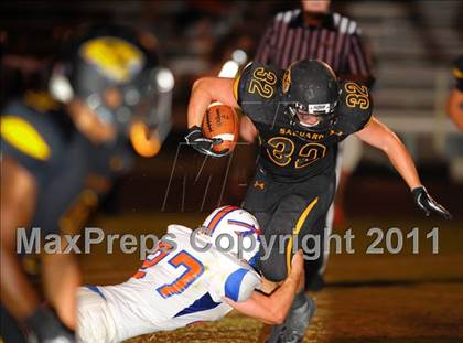 Thumbnail 3 in Thunderbird @ Saguaro photogallery.