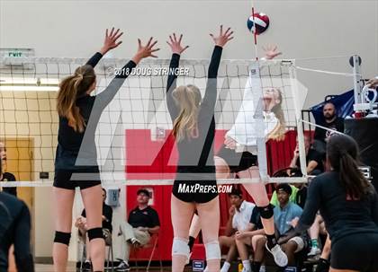 Thumbnail 2 in Aragon vs. Mountain View (CIF-CCS Div II Girls Volleyball Championship) photogallery.