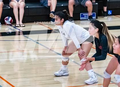 Thumbnail 2 in Aragon vs. Mountain View (CIF-CCS Div II Girls Volleyball Championship) photogallery.