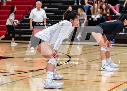 Thumbnail 2 in Aragon vs. Mountain View (CIF-CCS Div II Girls Volleyball Championship) photogallery.