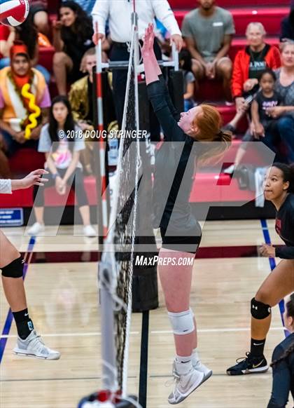 Thumbnail 2 in Aragon vs. Mountain View (CIF-CCS Div II Girls Volleyball Championship) photogallery.