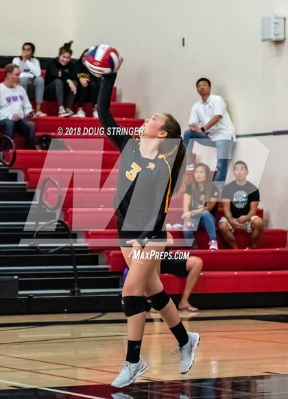 Thumbnail 3 in Aragon vs. Mountain View (CIF-CCS Div II Girls Volleyball Championship) photogallery.