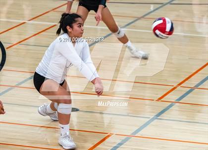 Thumbnail 3 in Aragon vs. Mountain View (CIF-CCS Div II Girls Volleyball Championship) photogallery.