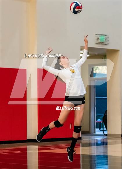 Thumbnail 2 in Aragon vs. Mountain View (CIF-CCS Div II Girls Volleyball Championship) photogallery.