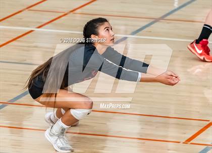 Thumbnail 1 in Aragon vs. Mountain View (CIF-CCS Div II Girls Volleyball Championship) photogallery.