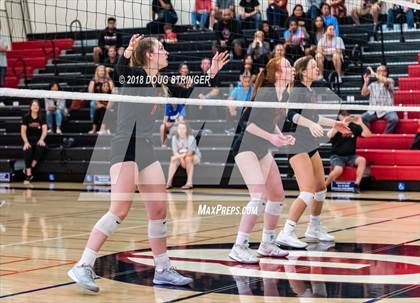Thumbnail 3 in Aragon vs. Mountain View (CIF-CCS Div II Girls Volleyball Championship) photogallery.