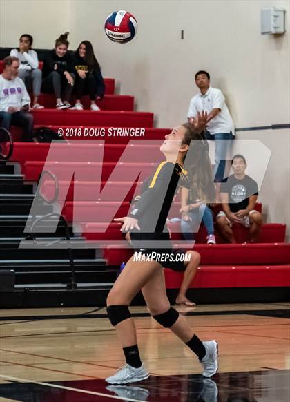 Thumbnail 2 in Aragon vs. Mountain View (CIF-CCS Div II Girls Volleyball Championship) photogallery.