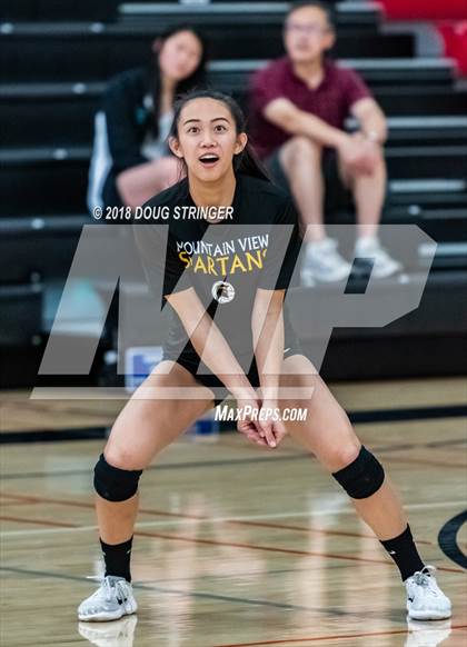 Thumbnail 2 in Aragon vs. Mountain View (CIF-CCS Div II Girls Volleyball Championship) photogallery.