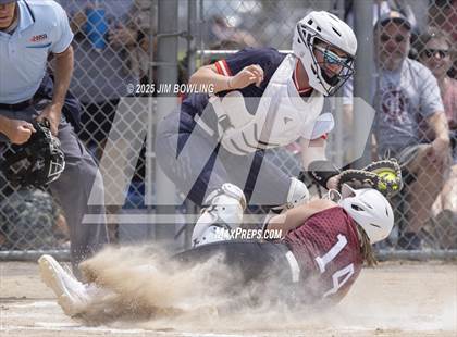 Thumbnail 1 in Mahomet-Seymour vs. Champaign Central (IHSA 3A Regional Final) photogallery.