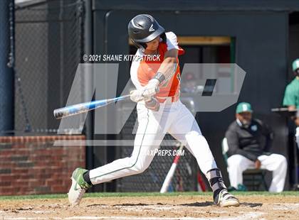 Thumbnail 1 in DeSoto vs. Naaman Forest photogallery.