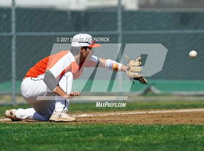 Thumbnail 3 in DeSoto vs. Naaman Forest photogallery.