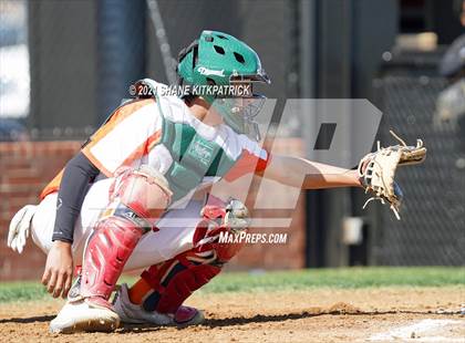 Thumbnail 2 in DeSoto vs. Naaman Forest photogallery.