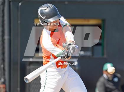 Thumbnail 3 in DeSoto vs. Naaman Forest photogallery.
