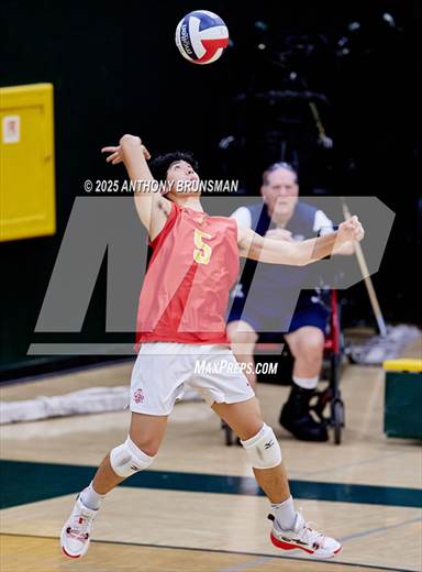 null - Photo 21