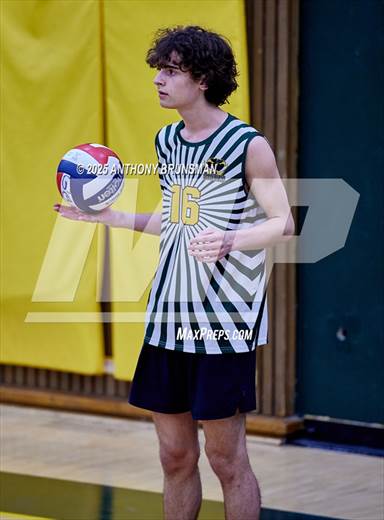 null - Photo 11