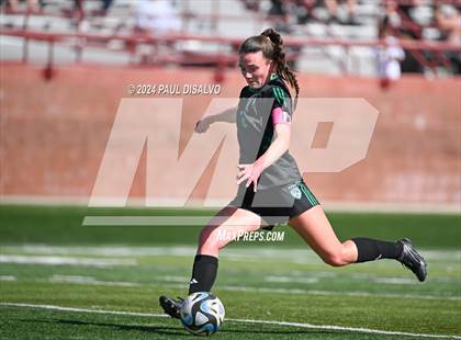 Thumbnail 3 in Chaparral @ ThunderRidge photogallery.