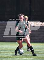 Photo from the gallery "Chaparral @ ThunderRidge"
