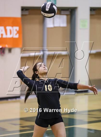 Thumbnail 3 in Florin @ Monterey Trail photogallery.