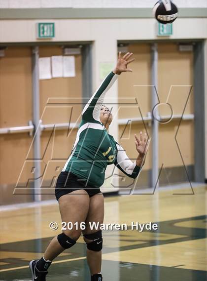 Thumbnail 3 in Florin @ Monterey Trail photogallery.