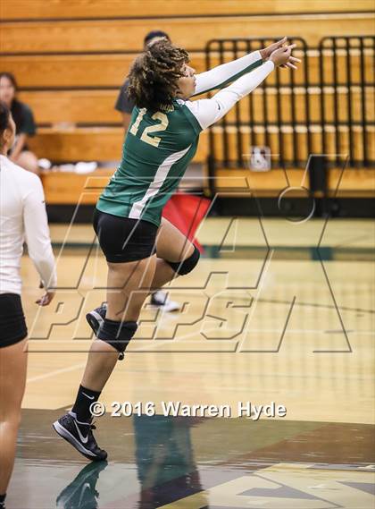 Thumbnail 3 in Florin @ Monterey Trail photogallery.