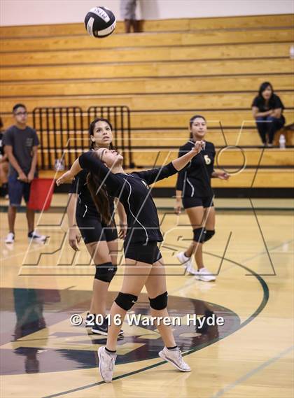 Thumbnail 3 in Florin @ Monterey Trail photogallery.