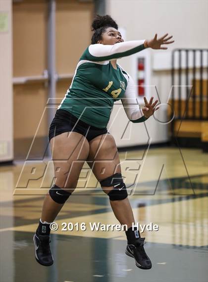 Thumbnail 3 in Florin @ Monterey Trail photogallery.