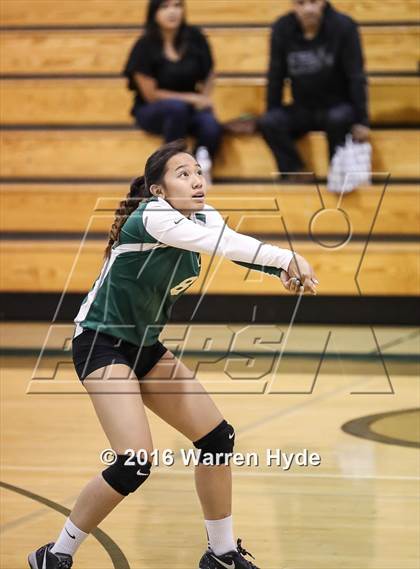 Thumbnail 2 in Florin @ Monterey Trail photogallery.
