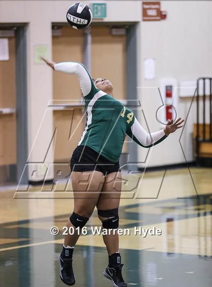 Thumbnail 2 in Florin @ Monterey Trail photogallery.