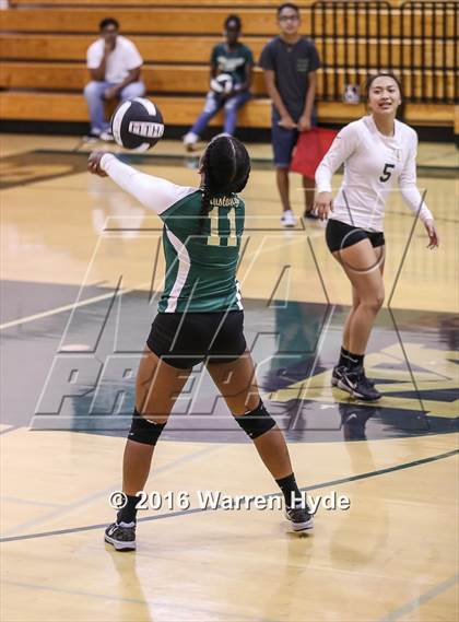 Thumbnail 2 in Florin @ Monterey Trail photogallery.