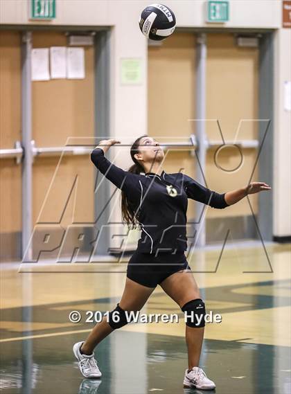 Thumbnail 1 in Florin @ Monterey Trail photogallery.