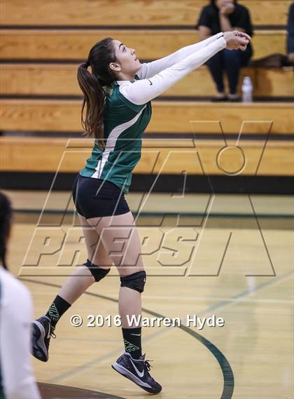 Thumbnail 1 in Florin @ Monterey Trail photogallery.