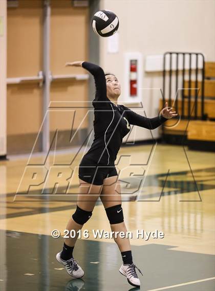 Thumbnail 2 in Florin @ Monterey Trail photogallery.