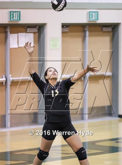Thumbnail 3 in Florin @ Monterey Trail photogallery.