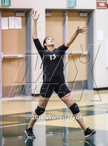 Thumbnail 2 in Florin @ Monterey Trail photogallery.
