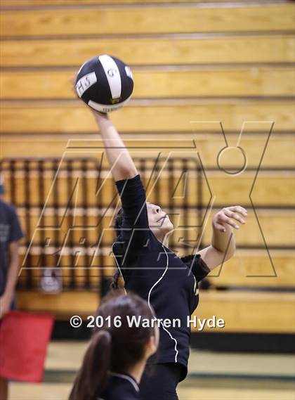 Thumbnail 1 in Florin @ Monterey Trail photogallery.