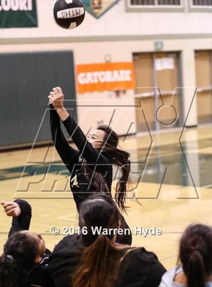 Thumbnail 3 in Florin @ Monterey Trail photogallery.