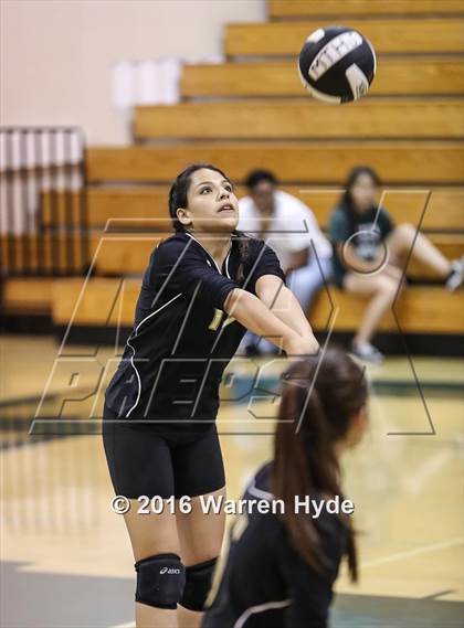 Thumbnail 2 in Florin @ Monterey Trail photogallery.