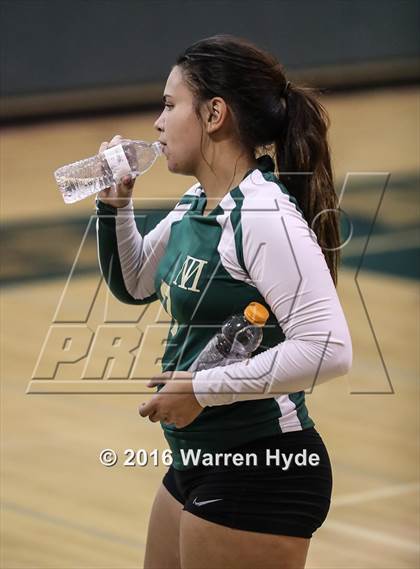 Thumbnail 3 in Florin @ Monterey Trail photogallery.