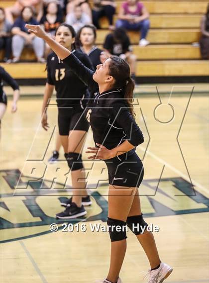 Thumbnail 2 in Florin @ Monterey Trail photogallery.