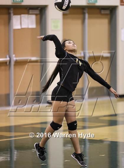 Thumbnail 3 in Florin @ Monterey Trail photogallery.