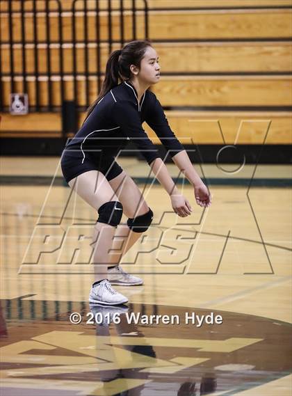 Thumbnail 2 in Florin @ Monterey Trail photogallery.