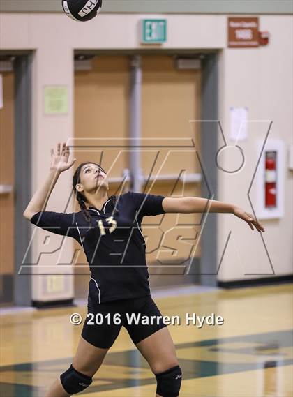 Thumbnail 1 in Florin @ Monterey Trail photogallery.