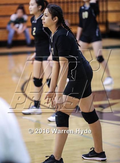 Thumbnail 3 in Florin @ Monterey Trail photogallery.